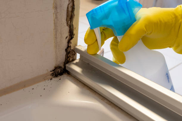 Best Emergency Mold Removal  in Rancho Cordova, CA