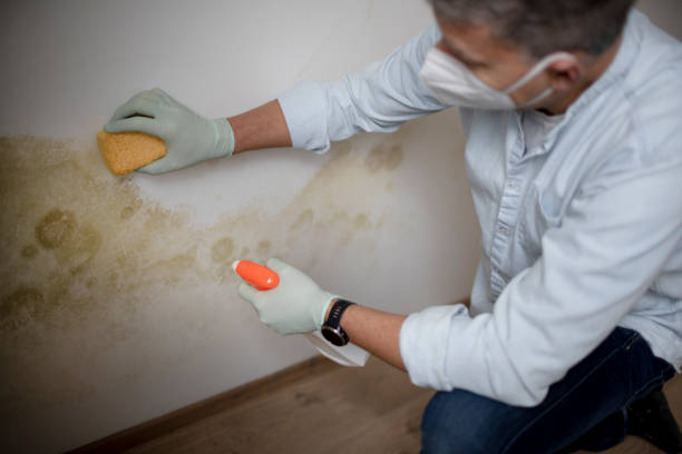 Best Mold Removal Process  in Rancho Cordova, CA