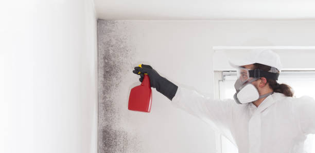 Best Residential Mold Removal  in Rancho Cordova, CA