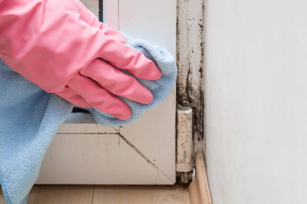 Best Crawl Space Mold Removal  in Rancho Cordova, CA